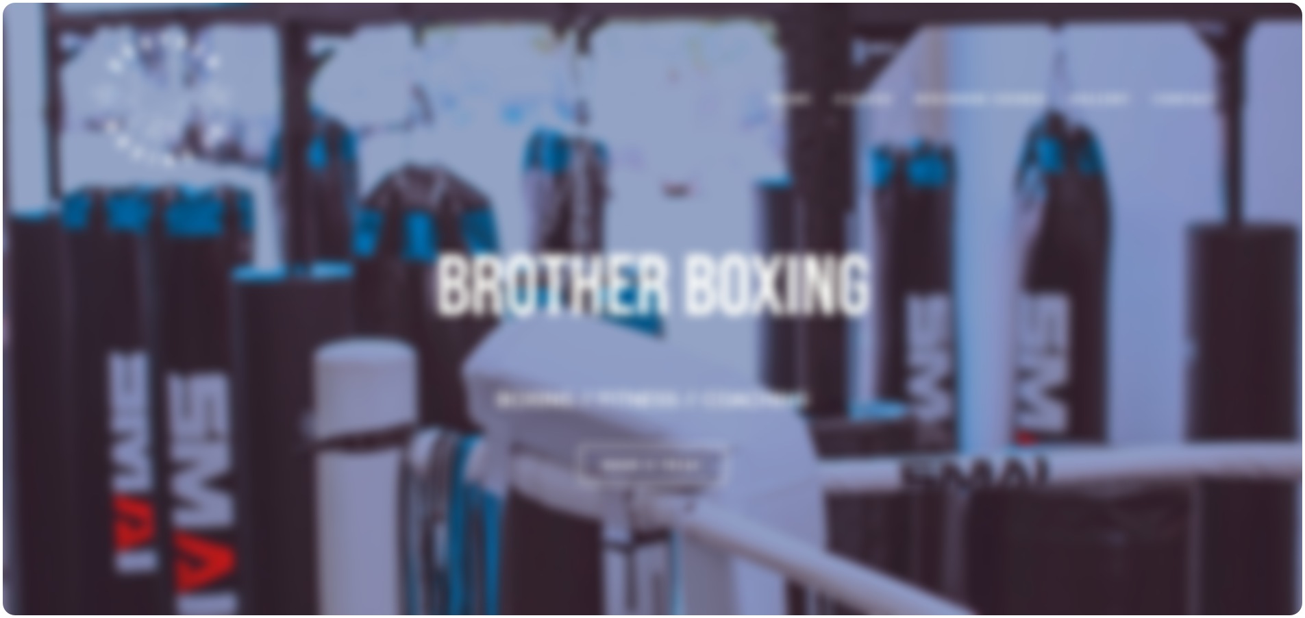 Brother Boxing