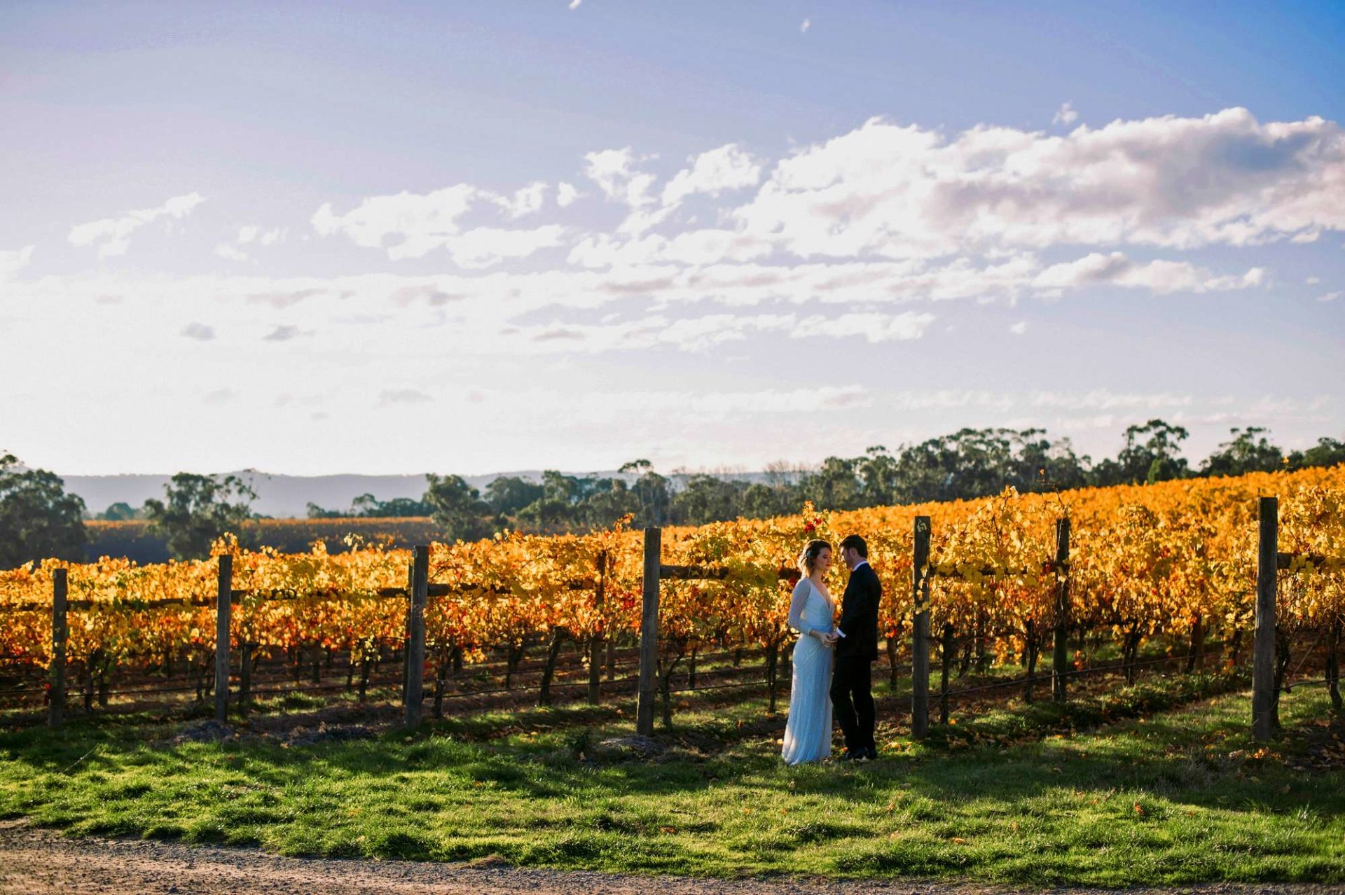 Wedding Couple At Vines Vineyard Yarra Valley
