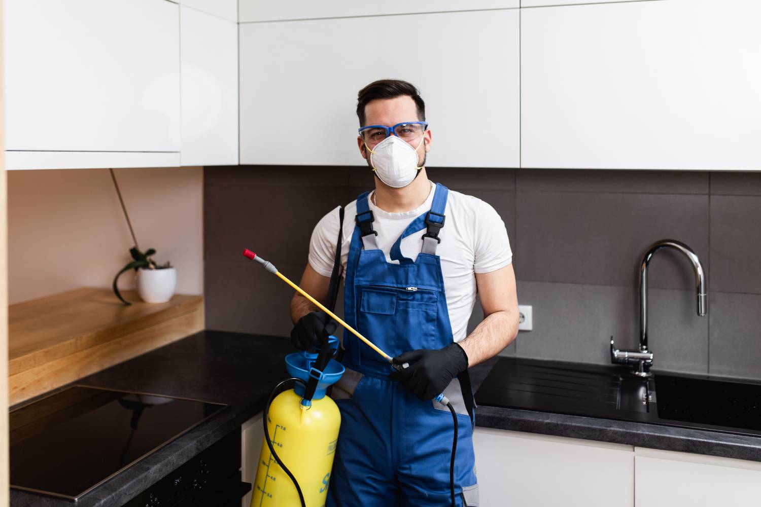 how much does a pest control inspection cost 1